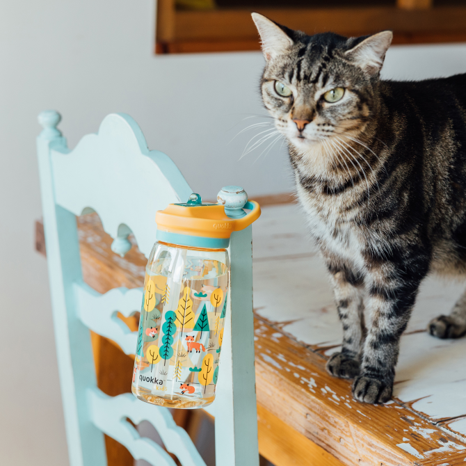 QUOKKA KIDS BOTELLA ECOZEN CON SIPPER GLOW FOREST 580 ML