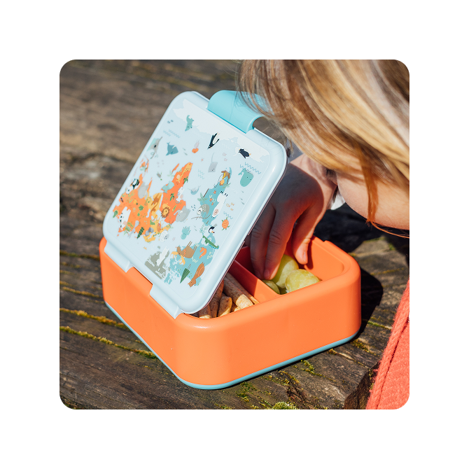 QUOKKA KIDS SANDWICHERA TWIST MAP OF LIFE