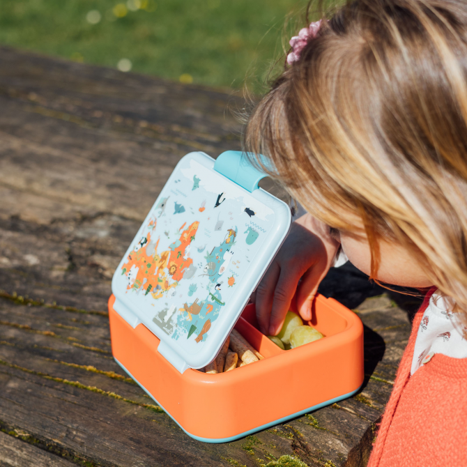 QUOKKA KIDS SANDWICHERA TWIST MAP OF LIFE