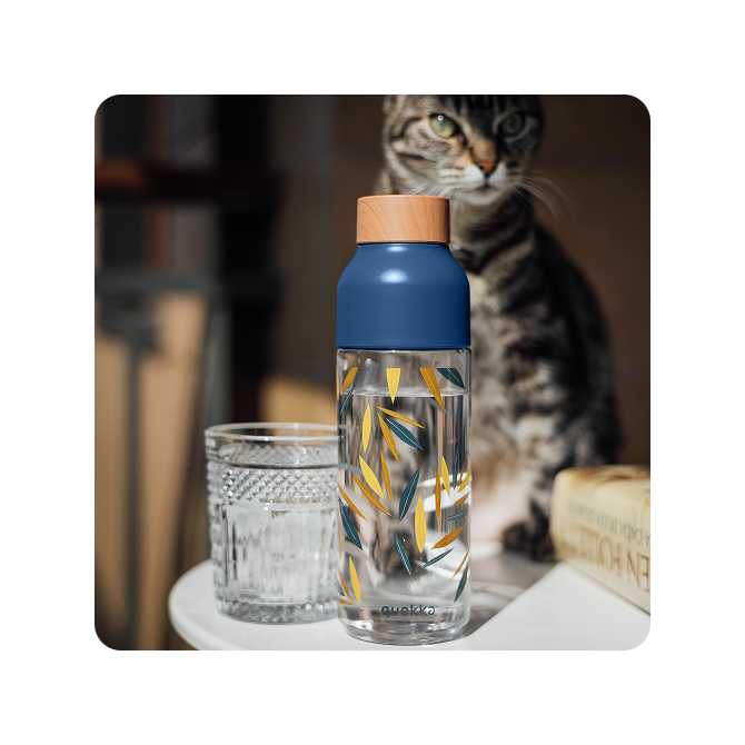 QUOKKA BOTELLA ECOZEN ICE BAMBOO 720 ML