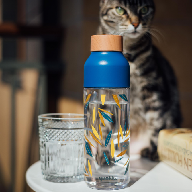 QUOKKA BOTELLA ECOZEN ICE BAMBOO 720 ML