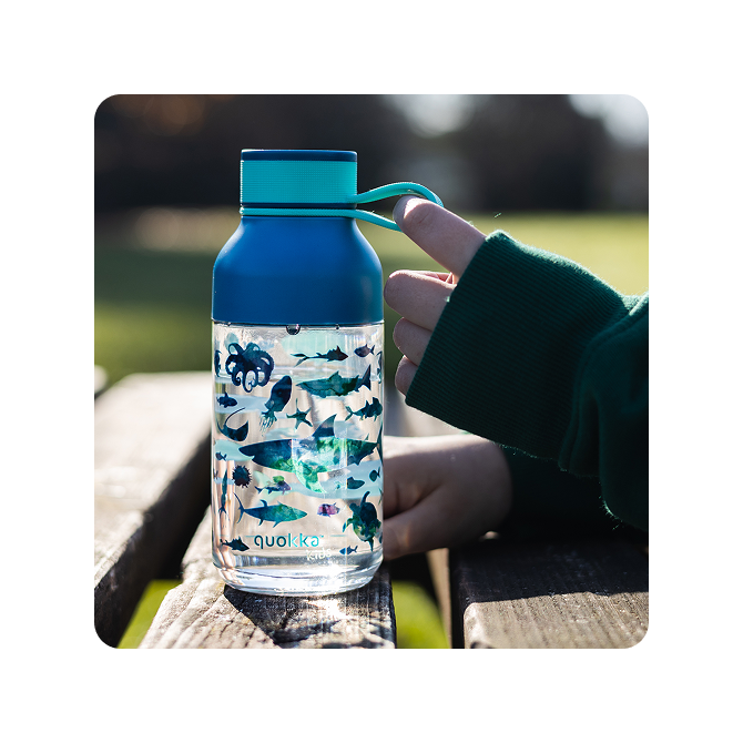 QUOKKA KIDS BOTELLA ECOZEN ICE CON COLGADOR SEA ANIMALS 430 ML