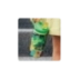 QUOKKA KIDS BOTELLA TERMO ACERO INOXIDABLE CON SIPPER POP DINOSAURS JUNGLE 445 ML