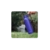 QUOKKA BOTELLA TERMO ACERO INOXIDABLE SOLID CON COLGADOR DUSK BLUE 630 ML