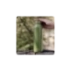 QUOKKA BOTELLA TERMO ACERO INOXIDABLE SOLID OLIVE GREEN 630 ML